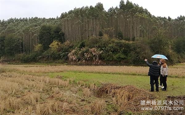 怀化市陈老师带着爱徒寻龙点穴